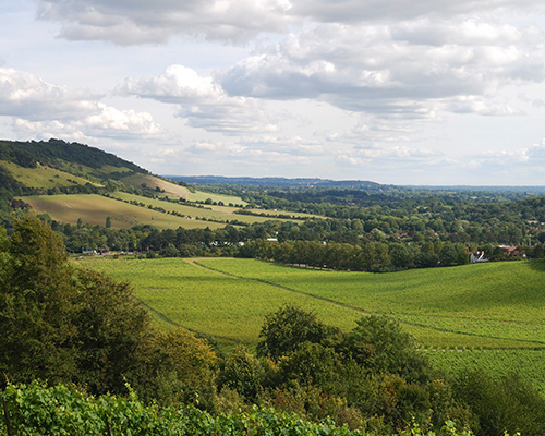 Mole Valley